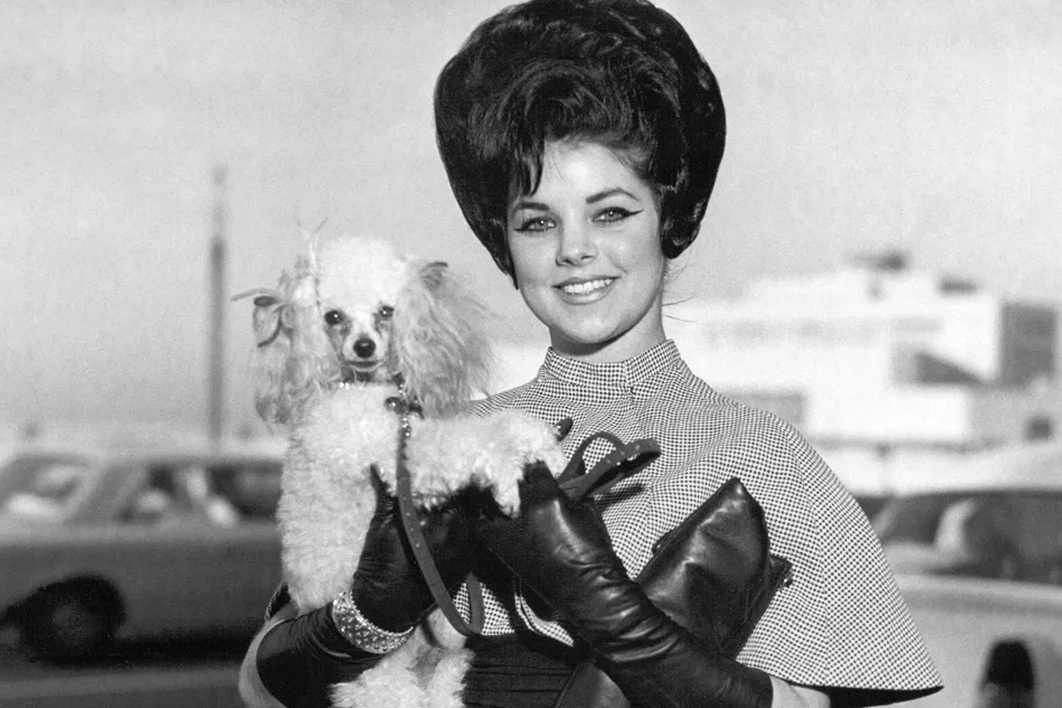 Priscilla Presley as Jenna Wade on Dallas